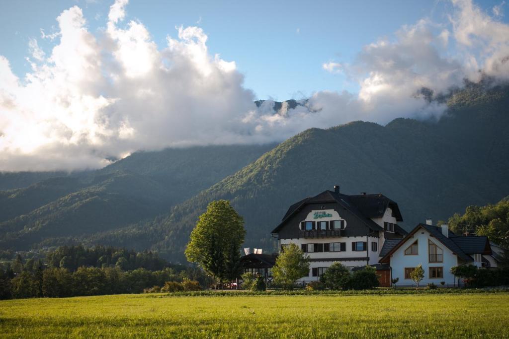 Hotel Oskar Zaplata Preddvor Extérieur photo