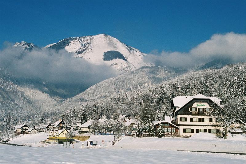 Hotel Oskar Zaplata Preddvor Extérieur photo